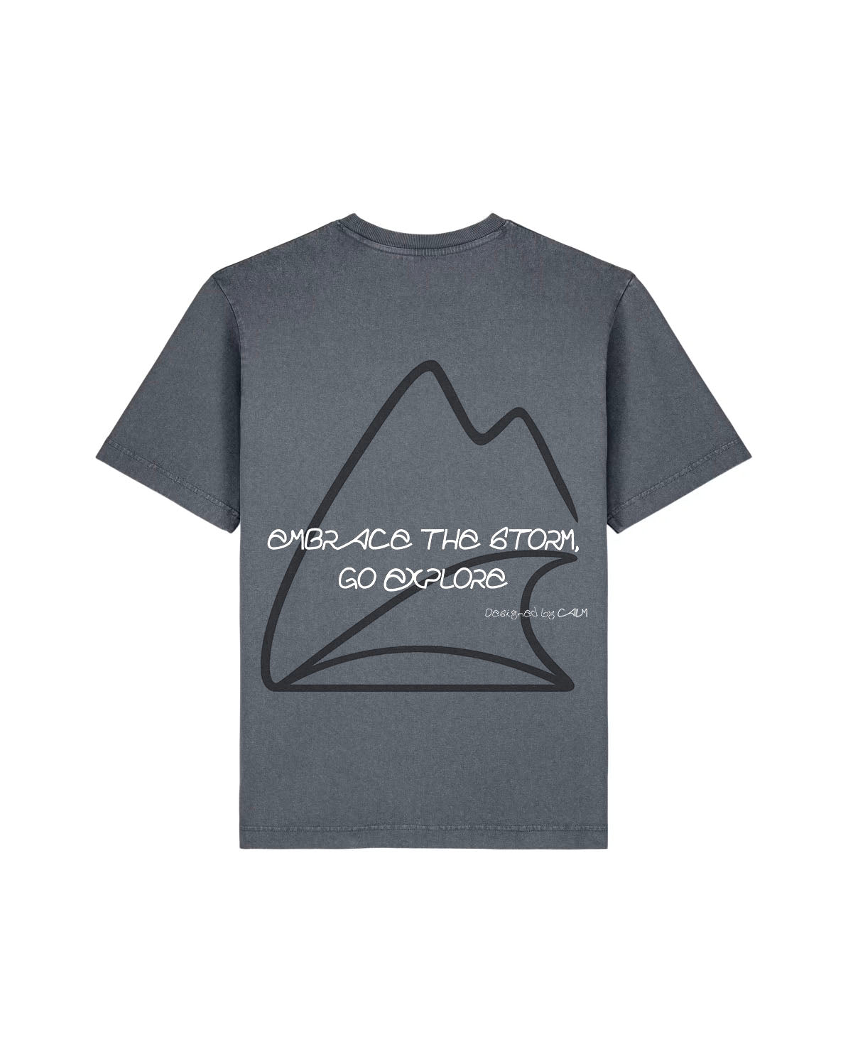 Grey Embrace the storm Freestyler Vintage Limited Edition
